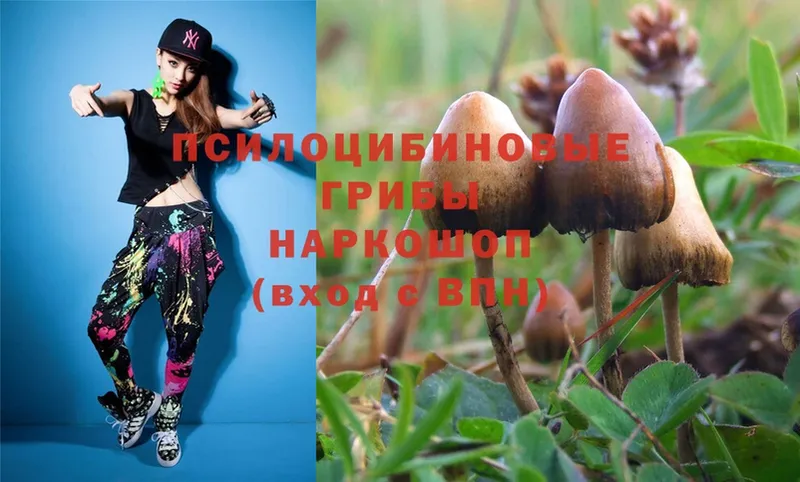 ссылка на мегу онион  Уржум  Псилоцибиновые грибы Psilocybe 